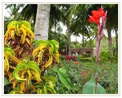 Slider image (2) Indus Valley Ayurveda Center